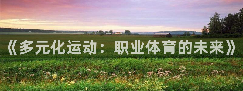 米兰体育官方正版app开户：《多元化运动：职业体育的