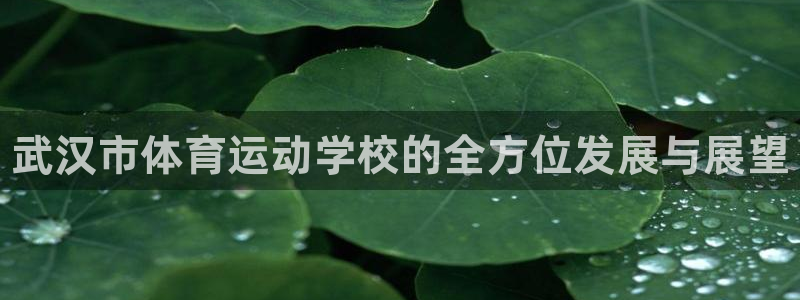 米兰体育官网下载平台APP：武汉市体育运动学校的全方
