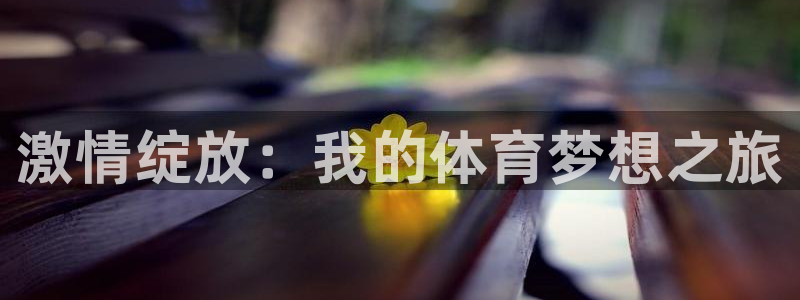 米兰体育官网下载招商电话地址：激情绽放：我的体育梦想
