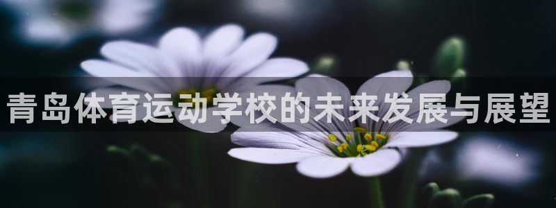 米兰体育官网下载平台是正规平台吗安全吗：青岛体育运动