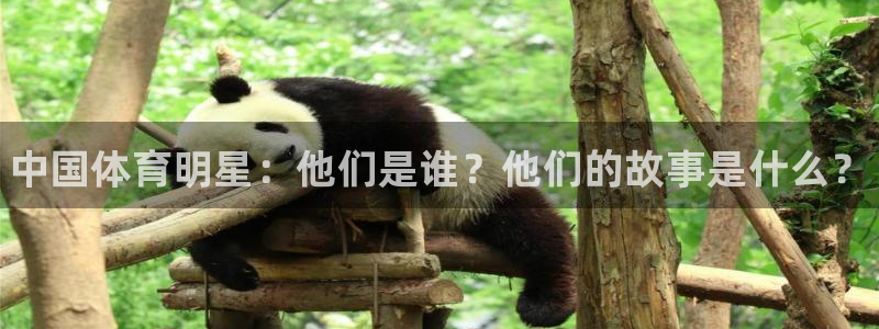 米兰体育官网下载招商电话是多少啊：中国体育明星：他们