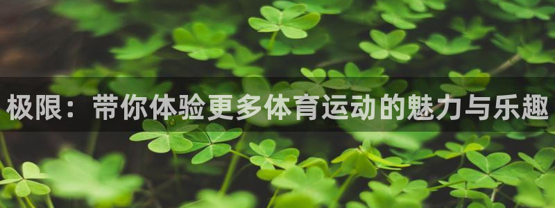 米兰体育官方正版app娱乐平台：极限：带你体验更多体