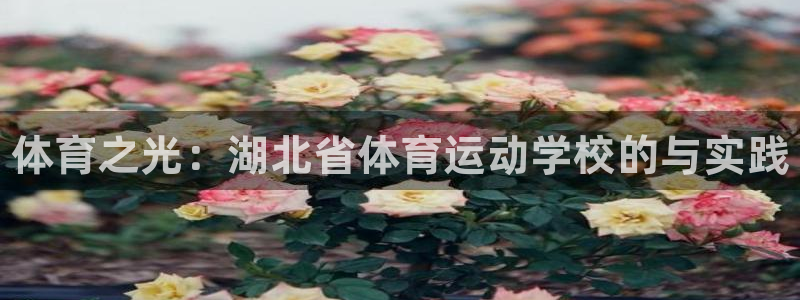 米兰体育官网下载招商电话号码是多少啊：体育之光：湖北