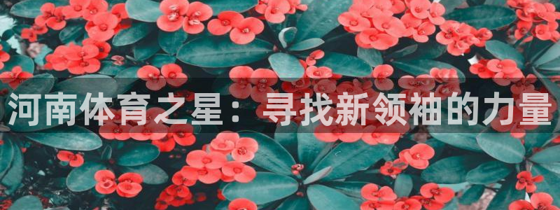 米兰体育官网下载平台APP：河南体育之星：寻找新领袖