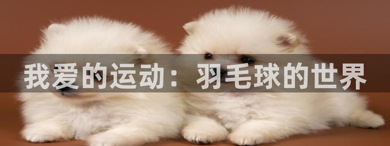 米兰体育官网下载招商电话是多少号码：我爱的运动：羽毛