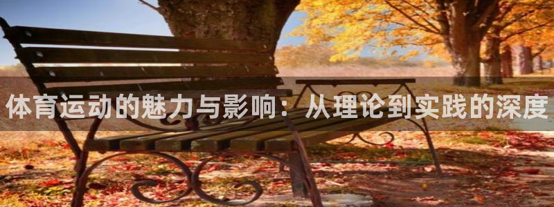 米兰体育官方正版app娱乐网站：体育运动的魅力与影响：从理论