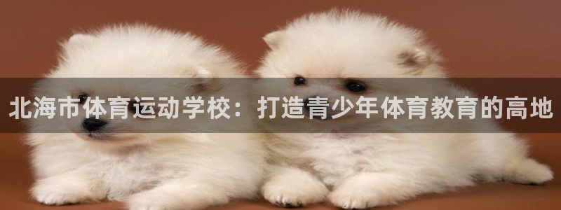 米兰体育官方正版app娱乐平台：北海市体育运动学校：打造青少