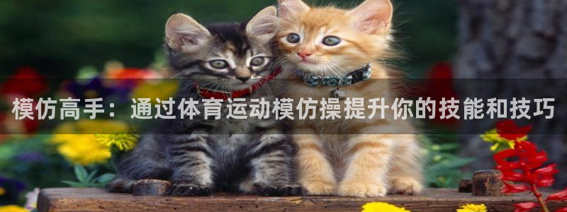 米兰体育官网下载招商电话号码是多少：模仿高手：通过体