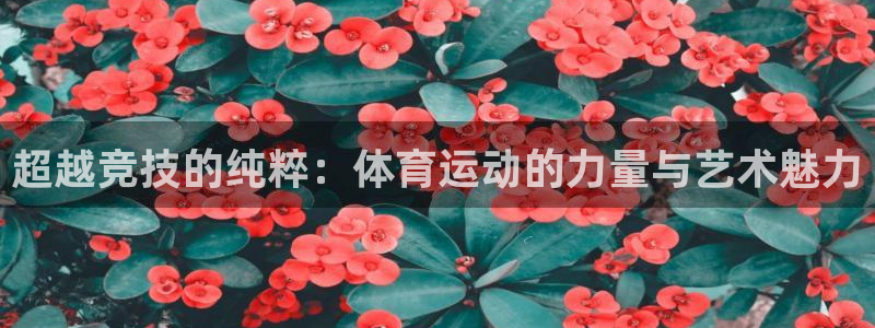 海南米兰体育官网下载：超越竞技的纯粹：体育运动的力量与艺术魅