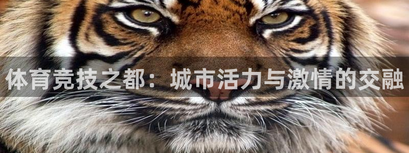 米兰体育官网下载是干嘛的公司：体育竞技之都：城市活力