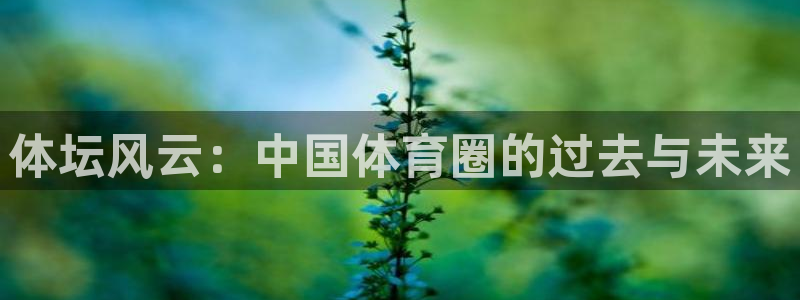 米兰体育官网下载联系电话：体坛风云：中国体育圈的过去
