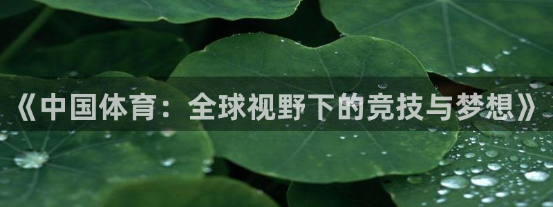 米兰体育官方正版app集团E.ON：《中国体育：全球