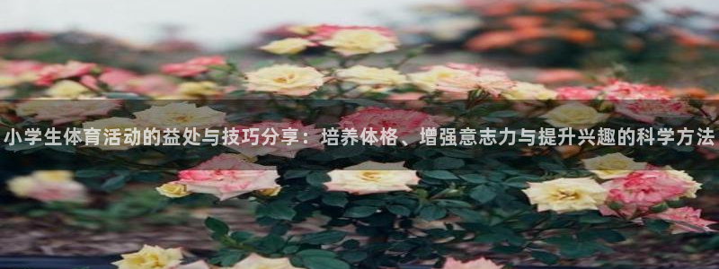 米兰体育官网下载招商电话号码是多少：小学生体育活动的