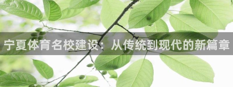 米兰体育官方正版app娱乐代理怎么样：宁夏体育名校建