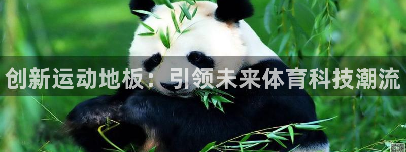 米兰体育官方正版app集团logo：创新运动地板：引领未来体