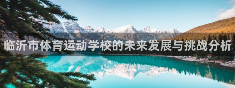 米兰体育官方正版app新能源：临沂市体育运动学校的未来发展与