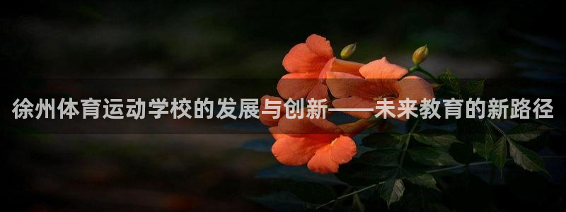 米兰体育官方正版app娱乐平台：徐州体育运动学校的发